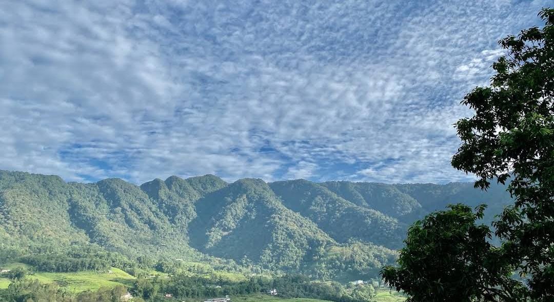 Homestay surroundings